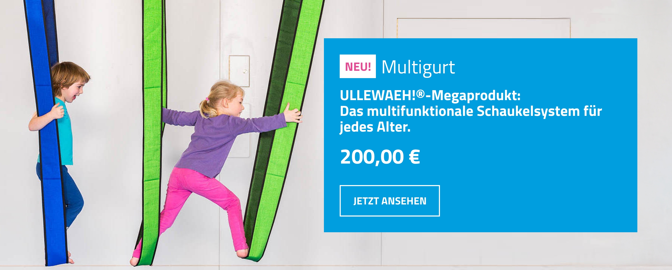 Multigurt