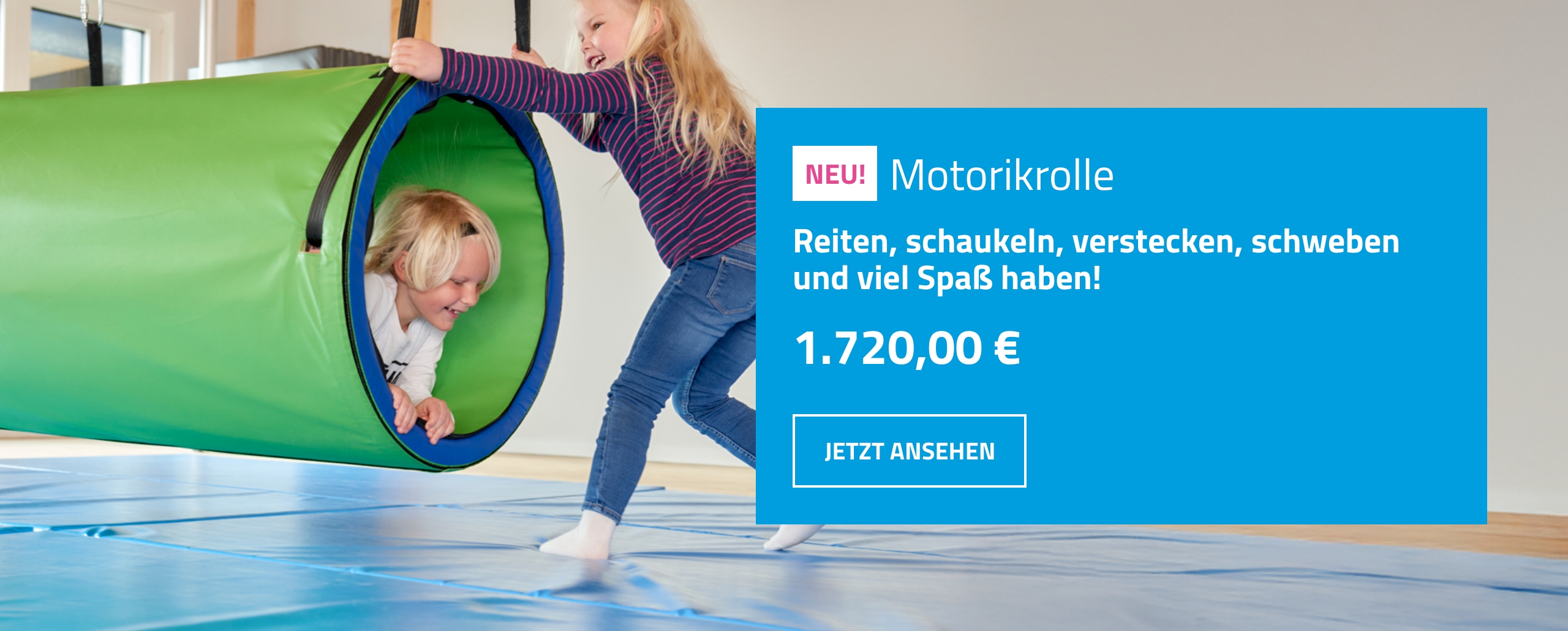 Motorikrolle